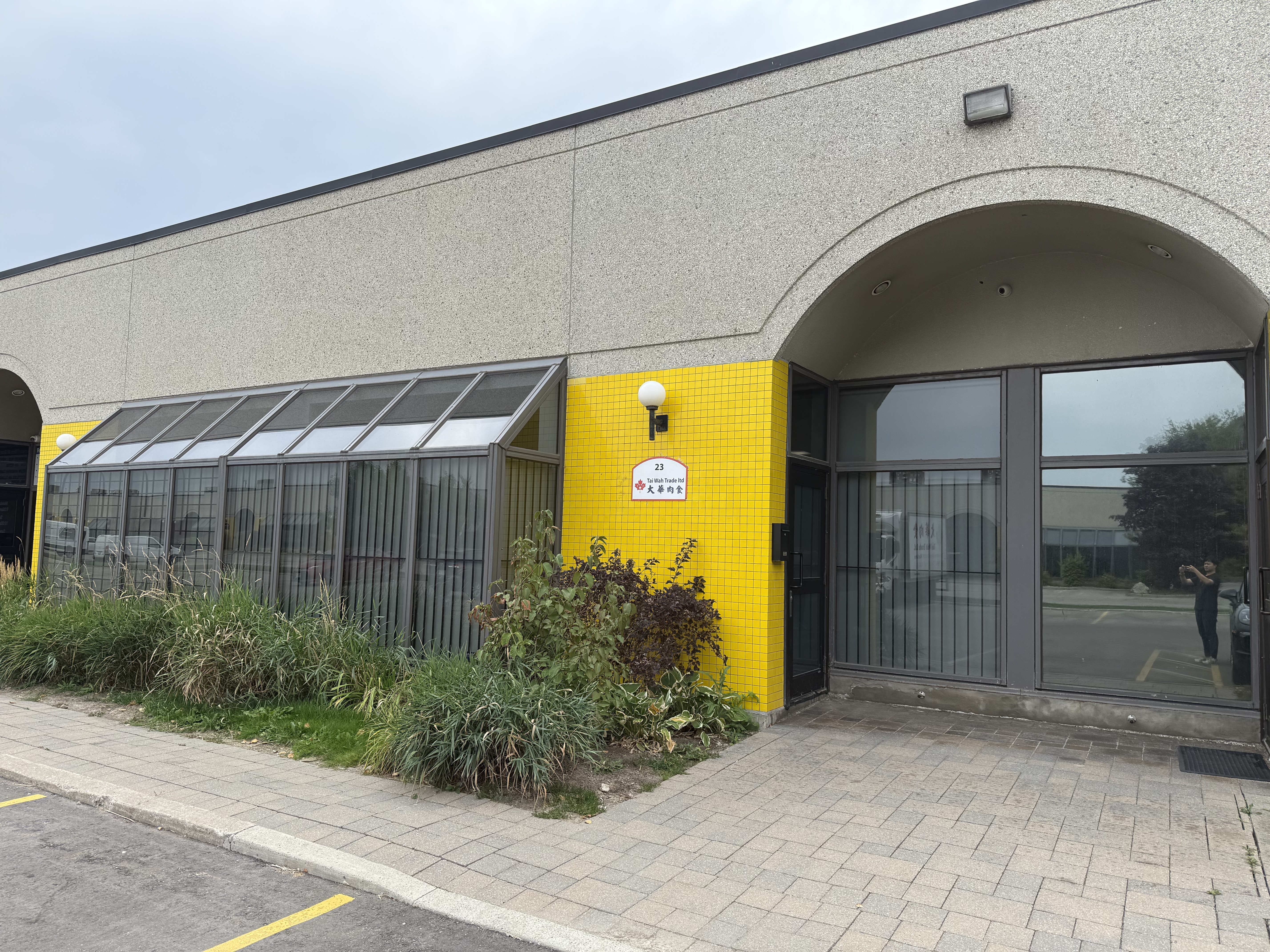 Fresh meat assortment